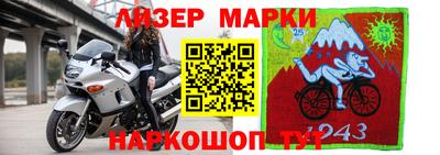 хмурый Новозыбков
