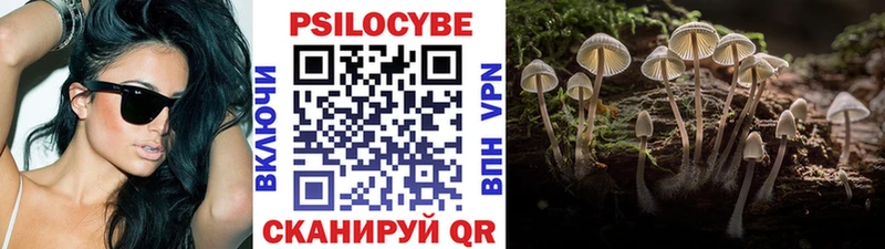 blacksprut ссылки  Ялуторовск  Псилоцибиновые грибы GOLDEN TEACHER  сколько стоит 