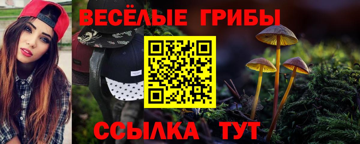 Ялуторовск  продажа наркотиков  Псилоцибиновые грибы MAGIC MUSHROOMS  Вход с VPN  Псилоцибиновые грибы Psilocybe 