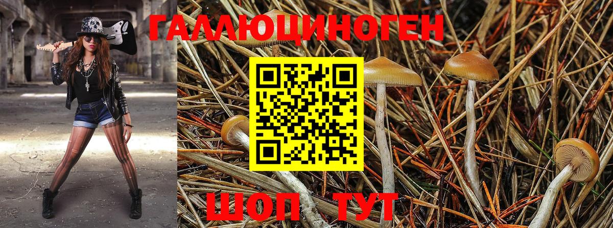 Псилоцибиновые грибы мицелий Ялуторовск